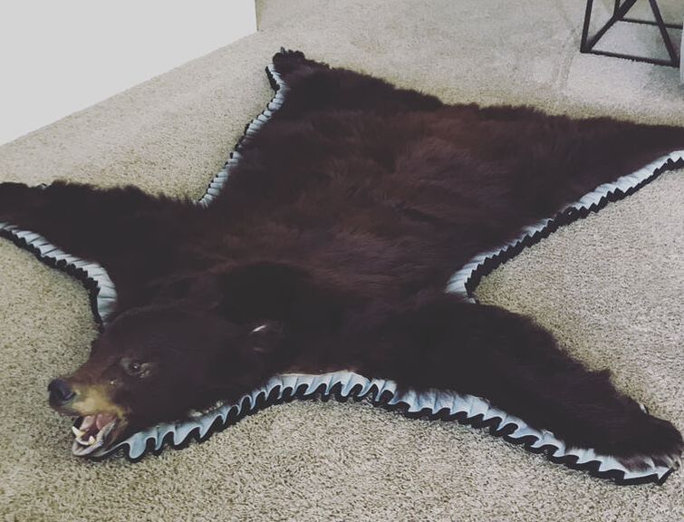 Taxidermy Rugs Life Sized, How Much Is A Black Bear Skin Rug Worth